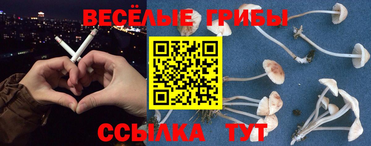 Псилоцибиновые грибы прущие грибы Вичуга