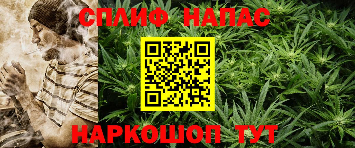 Каннабис SATIVA & INDICA  Конопля Bruce Banner  Вичуга  Вход с VPN  Марихуана планчик 